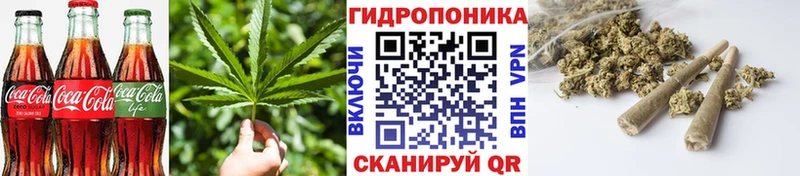Cannafood марихуана  Новокузнецк 