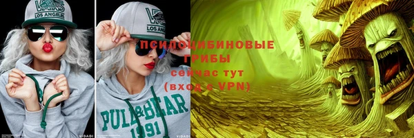 ALPHA-PVP Богородицк