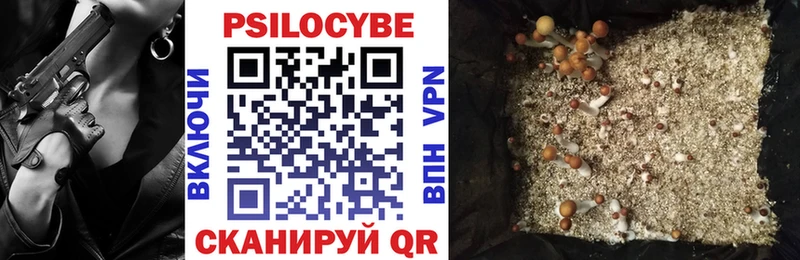купить наркотики цена  Новокузнецк  Галлюциногенные грибы Magic Shrooms 