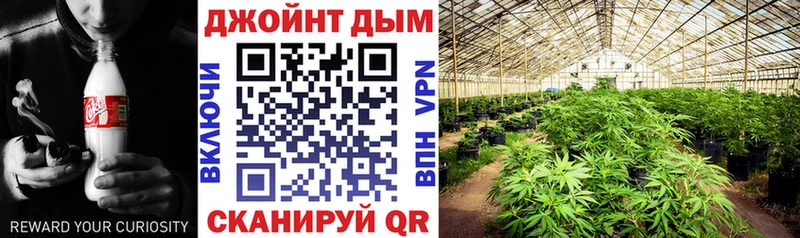 МАРИХУАНА индика Новокузнецк